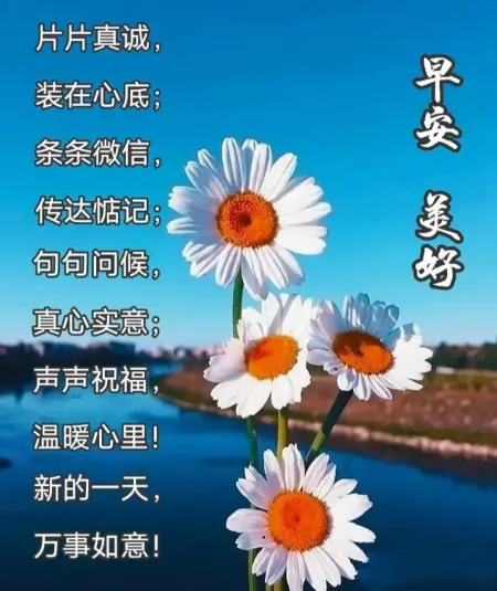 问候语早上好，早上好！带着爱和笑容去迎接今天的一切